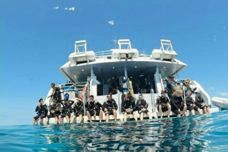 Sharm el Sheikh Immersioni subacquee‎