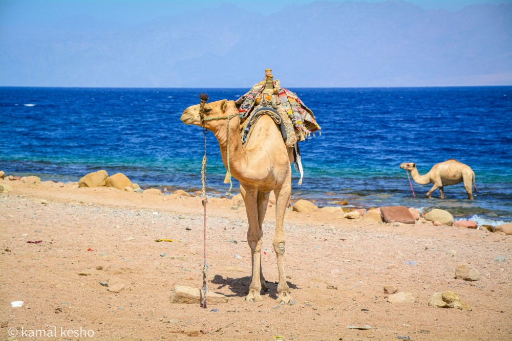Blue hole, Canyon Safari in Dahab