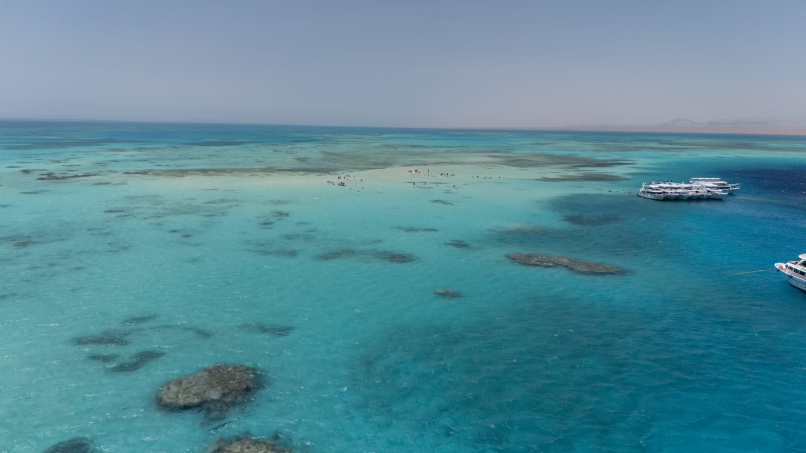 Escursione in Barca di Lusso all’Isola Che Non C’è con Trasferimento in Zodiac