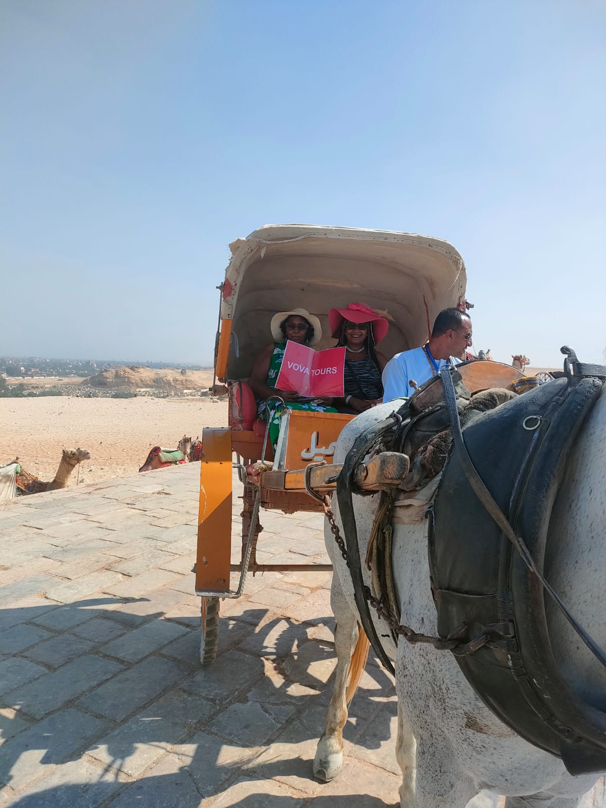 Cairo Day Trip from Sharm El Sheikh by Plane | Visit Pyramids - New Museum
